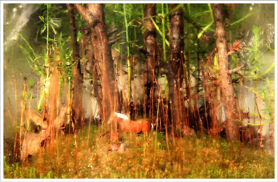 Daniel Pavon Cuellar Art